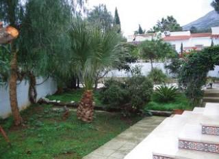 Villa Mandarina Dénia Buitenkant foto